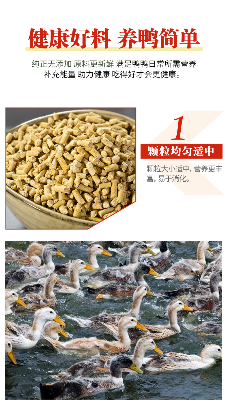 中大鴨配合飼料_02.jpg