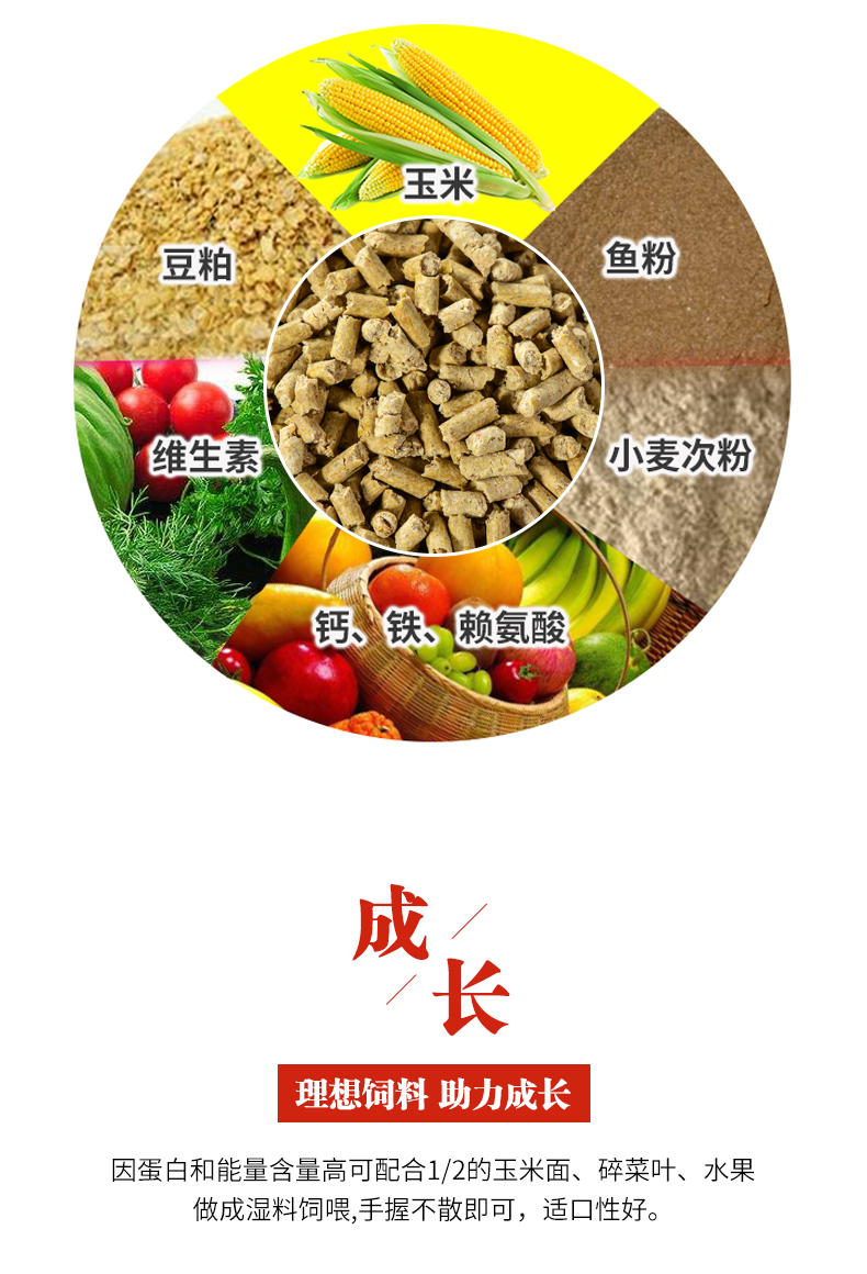 中大鴨配合飼料_04.jpg