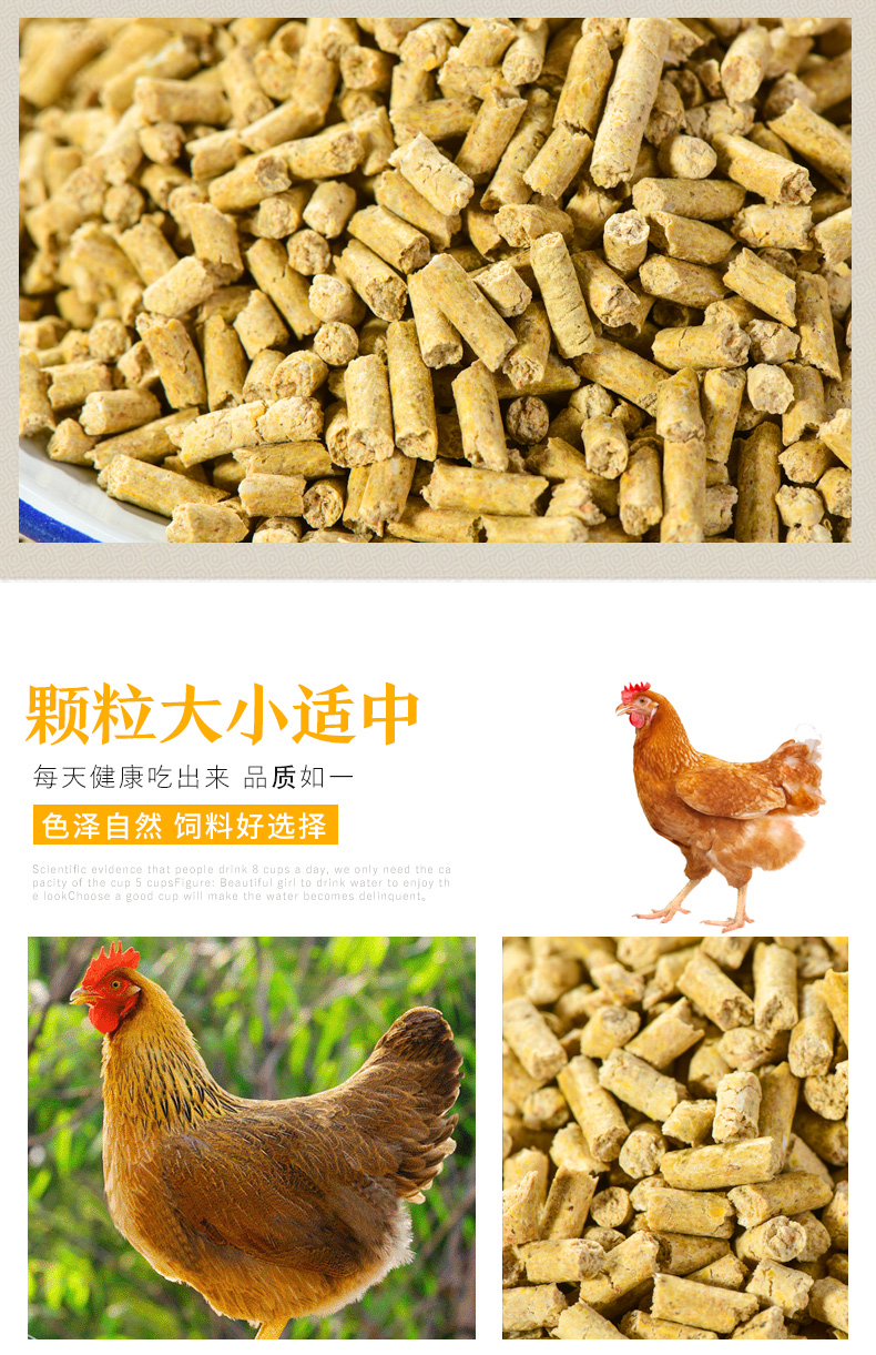 中大雞配合飼料_04.jpg