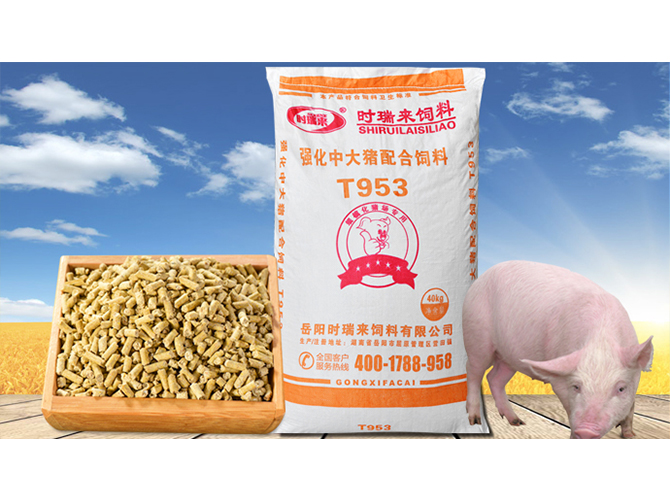 強(qiáng)化中大豬配合飼料T953