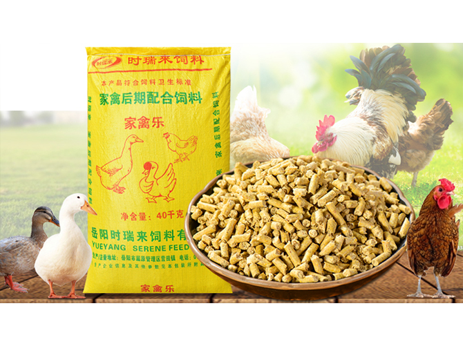 家禽后期配合飼料 家禽樂(lè)