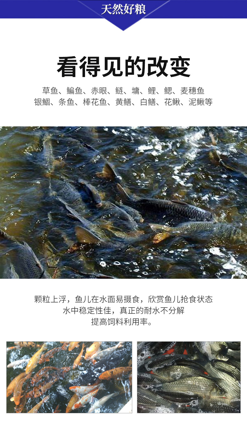 混養(yǎng)魚配合飼料1_02.jpg