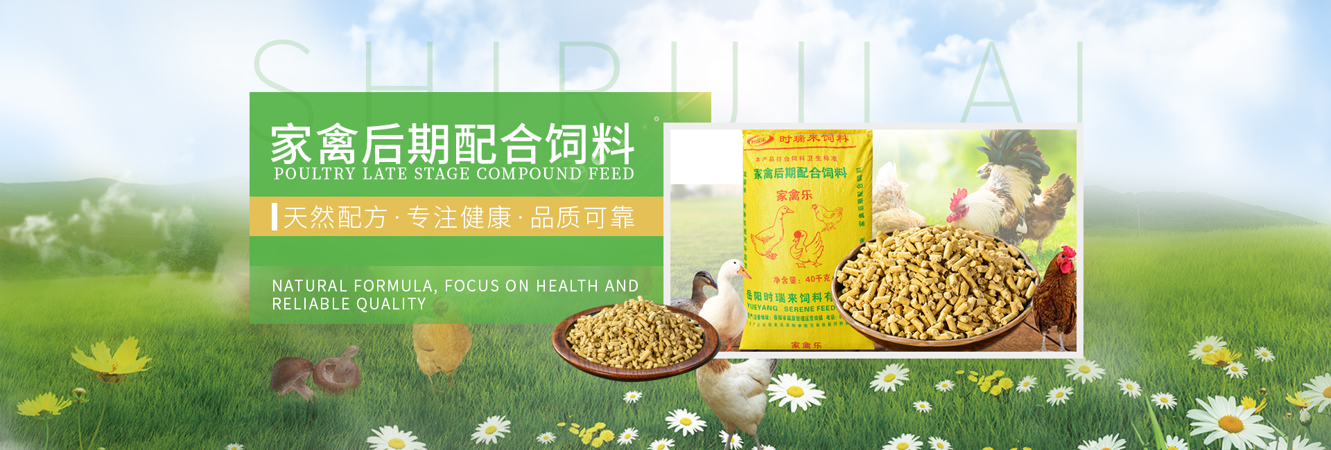 首頁(yè)banner2