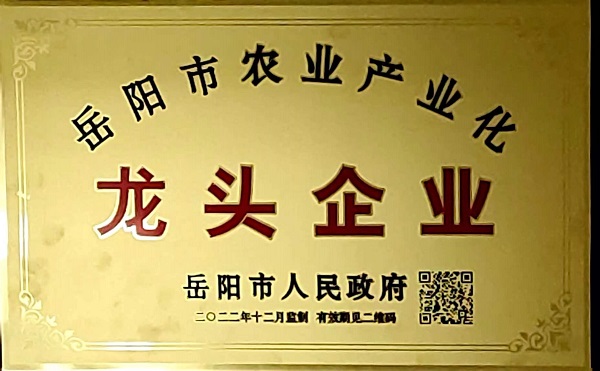 龍頭企業(yè)