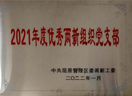 2021年度優(yōu)秀兩新組織黨支部