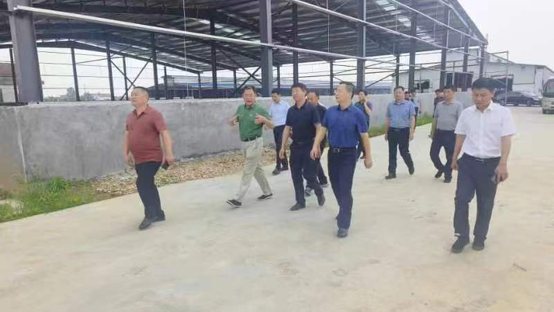 6月3日，岳陽(yáng)市副市長(zhǎng)陳閣輝一行來(lái)岳陽(yáng)金浪智慧農(nóng)牧有限公司調(diào)研視察濱湖水牛保種場(chǎng)工作！