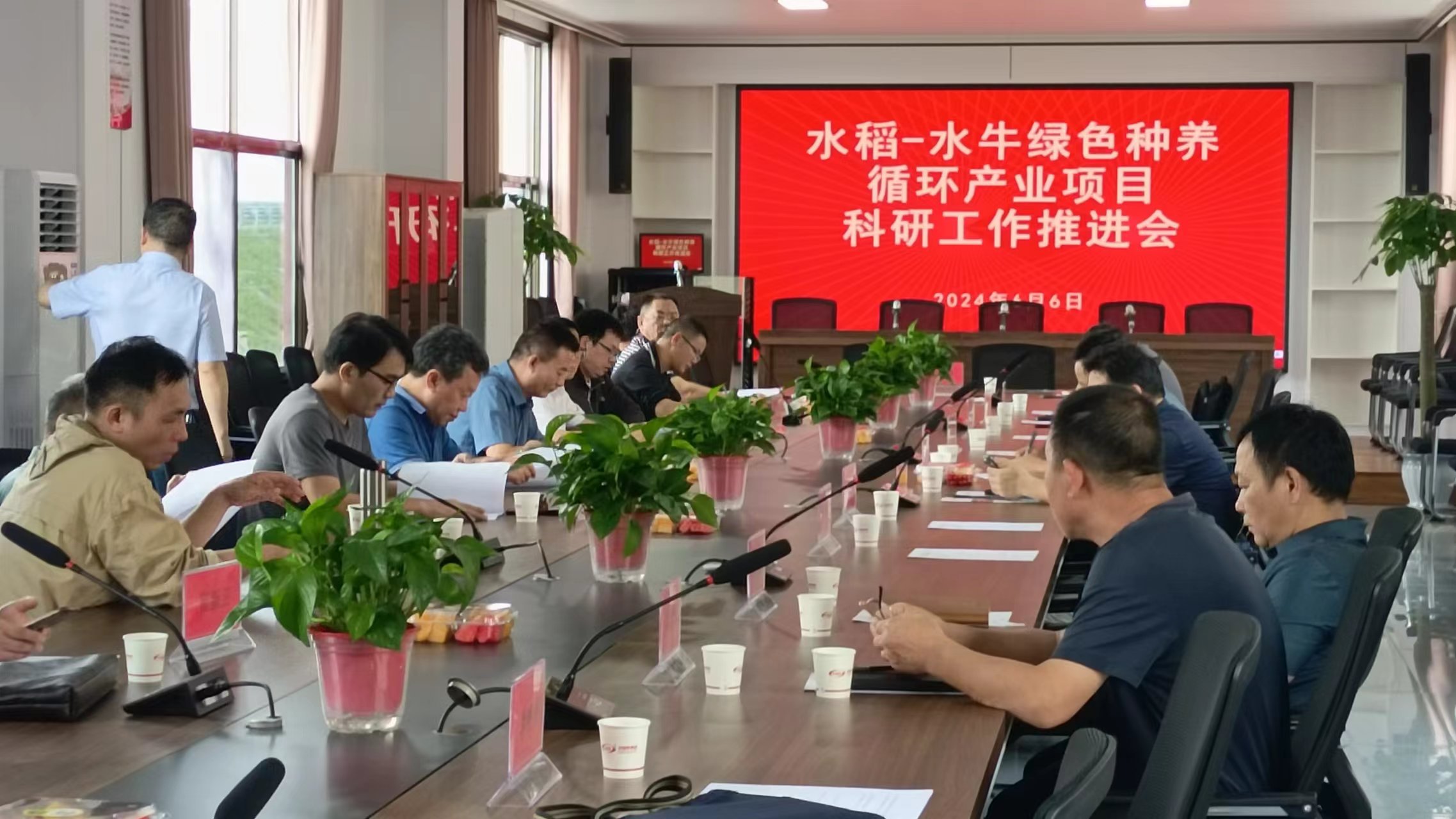 水稻一一水牛綠色種養(yǎng)循環(huán)產(chǎn)業(yè)項(xiàng)目科研推進(jìn)，助力公司在現(xiàn)代農(nóng)業(yè)方面高質(zhì)量發(fā)展！